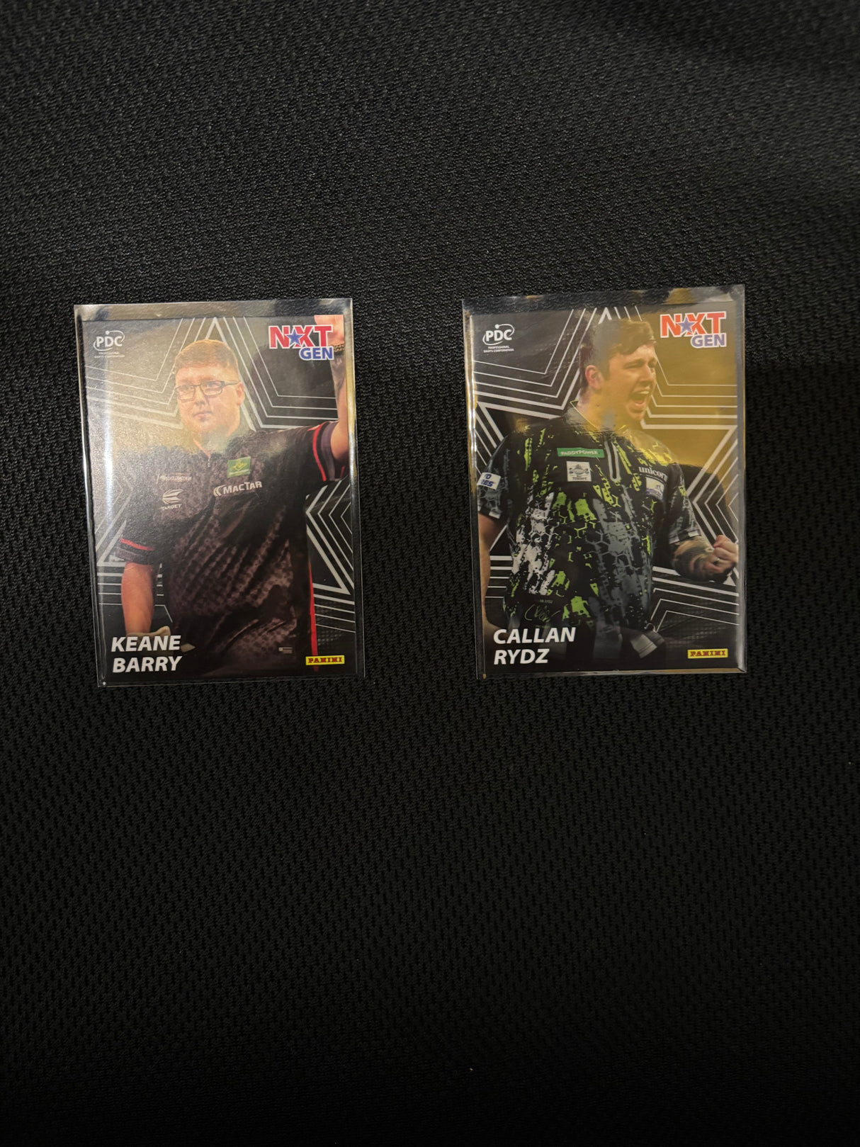 Panini PDC WM NEXT GENERATION Base Cards