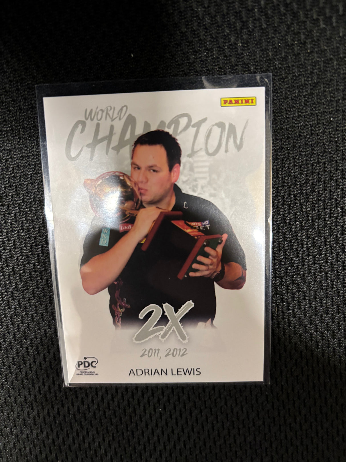 Panini PDC WM World Champions Base Cards