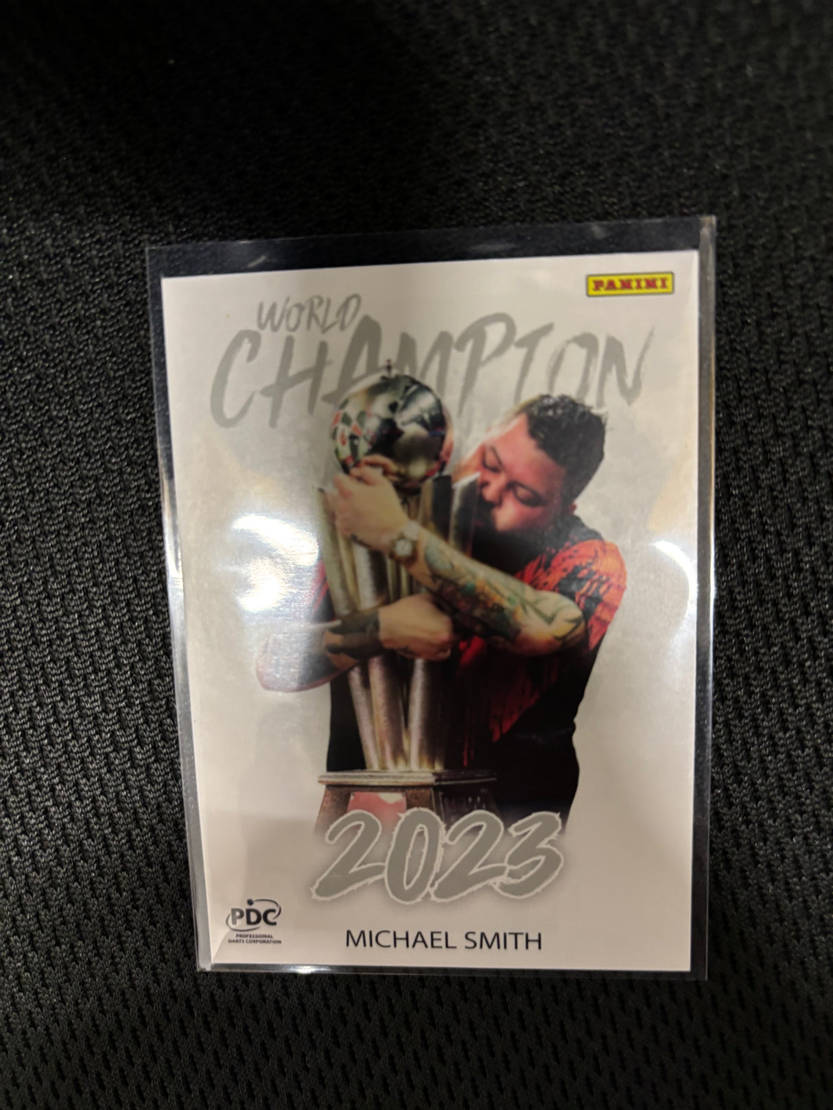 Panini PDC WM World Champions Base Cards