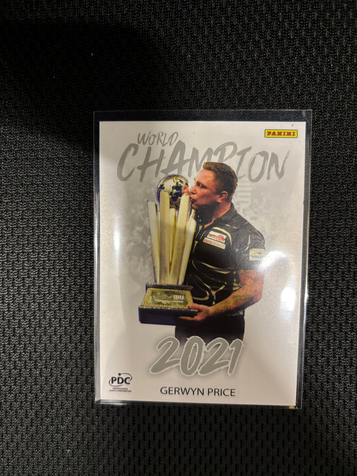 Panini PDC WM World Champions Base Cards