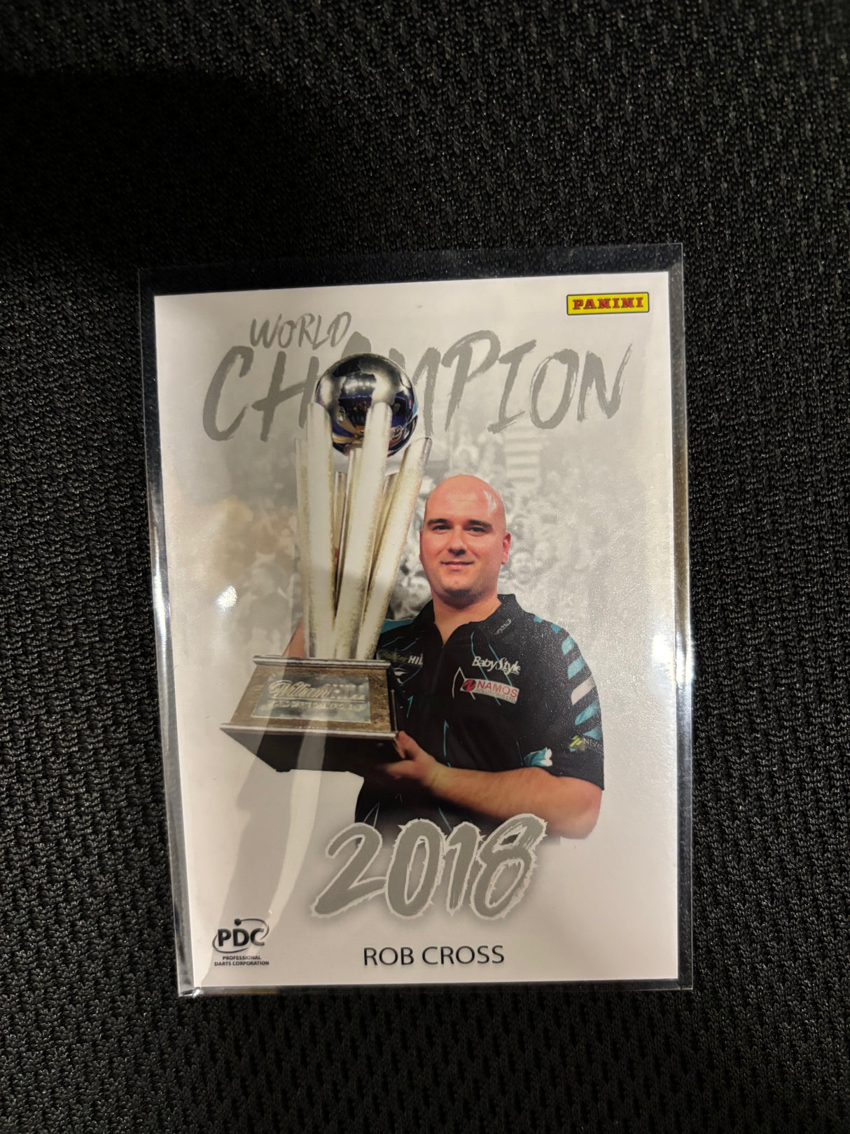 Panini PDC WM World Champions Base Cards