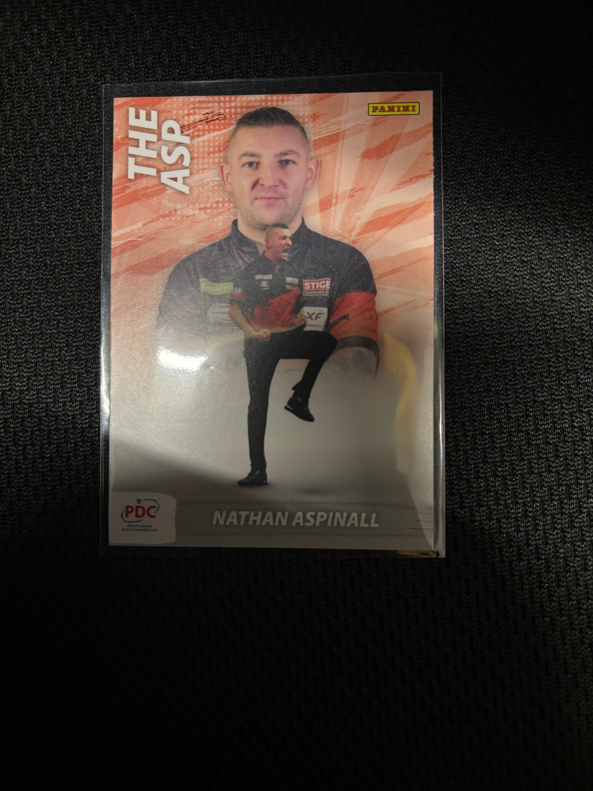 Panini PDC WM Scoring Maschine Base Cards