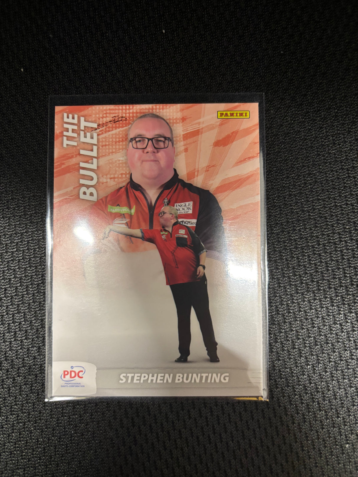 Panini PDC WM Scoring Maschine Base Cards