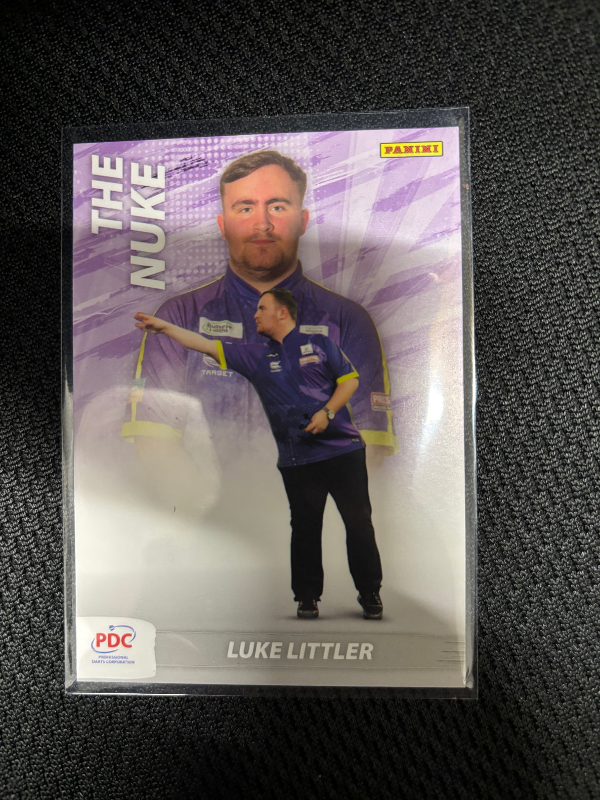 Panini PDC WM Scoring Maschine Base Cards