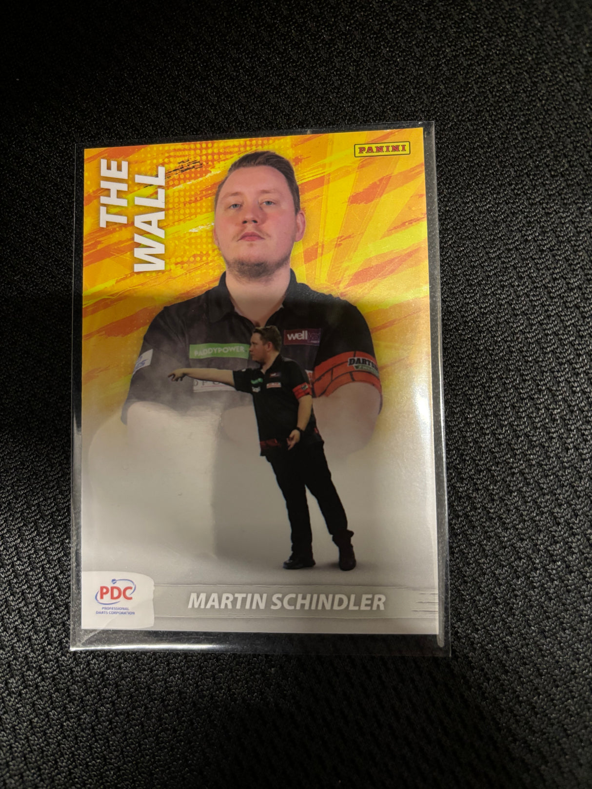 Panini PDC WM Scoring Maschine Base Cards