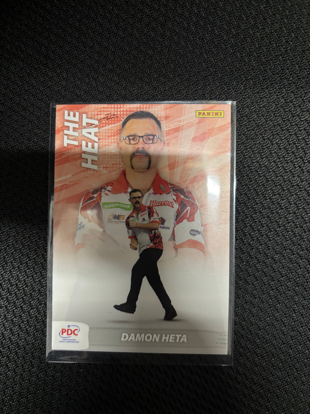 Panini PDC WM Scoring Maschine Base Cards