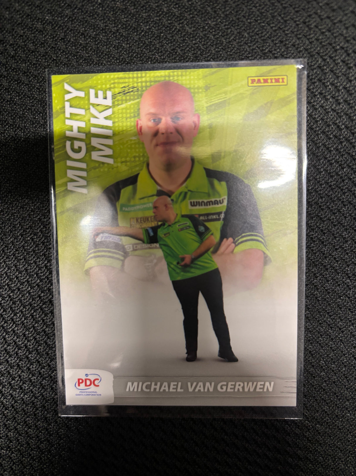 Panini PDC WM Scoring Maschine Base Cards