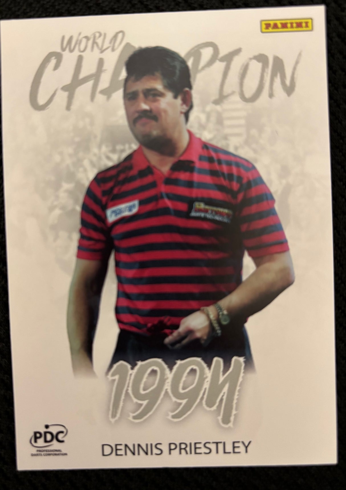 Panini PDC WM World Champions Base Cards