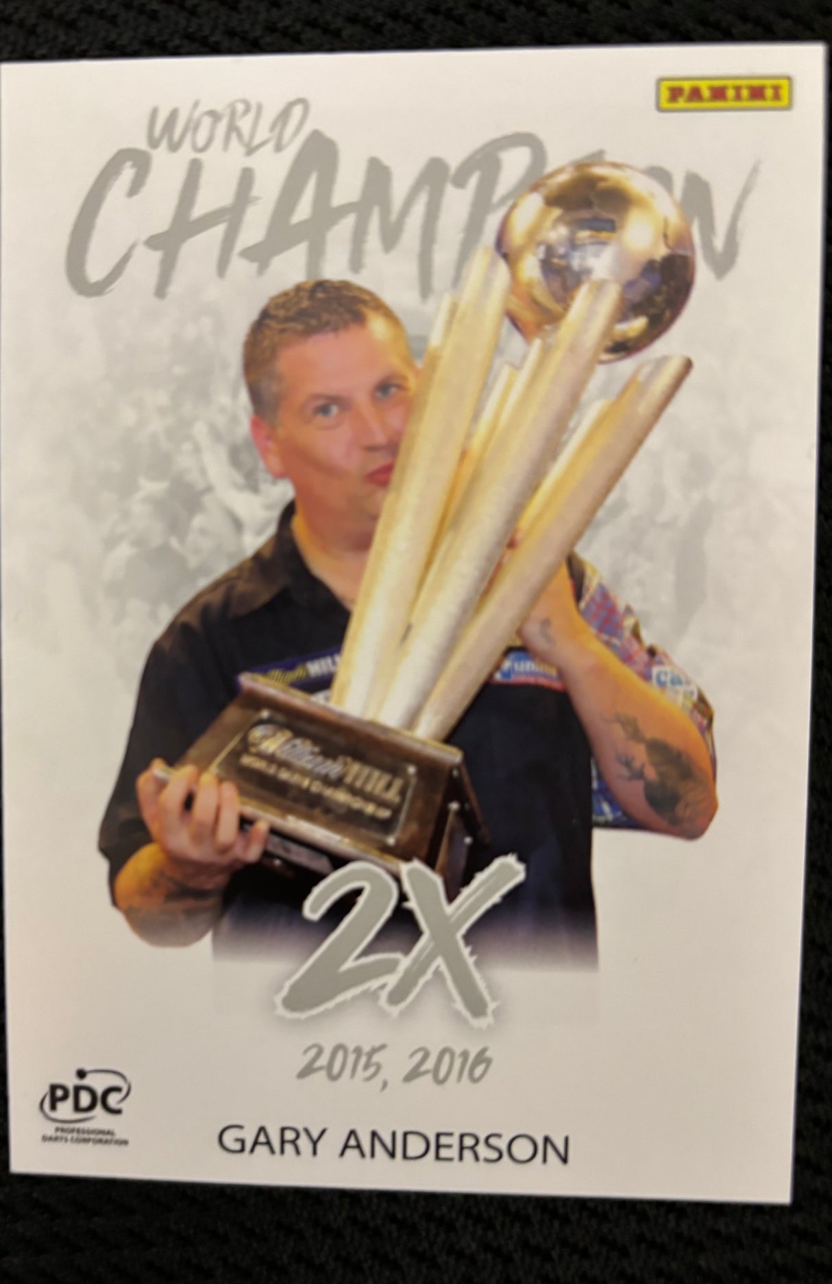 Panini PDC WM World Champions Base Cards