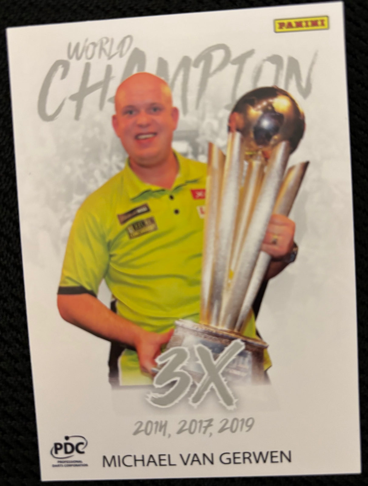 Panini PDC WM World Champions Base Cards