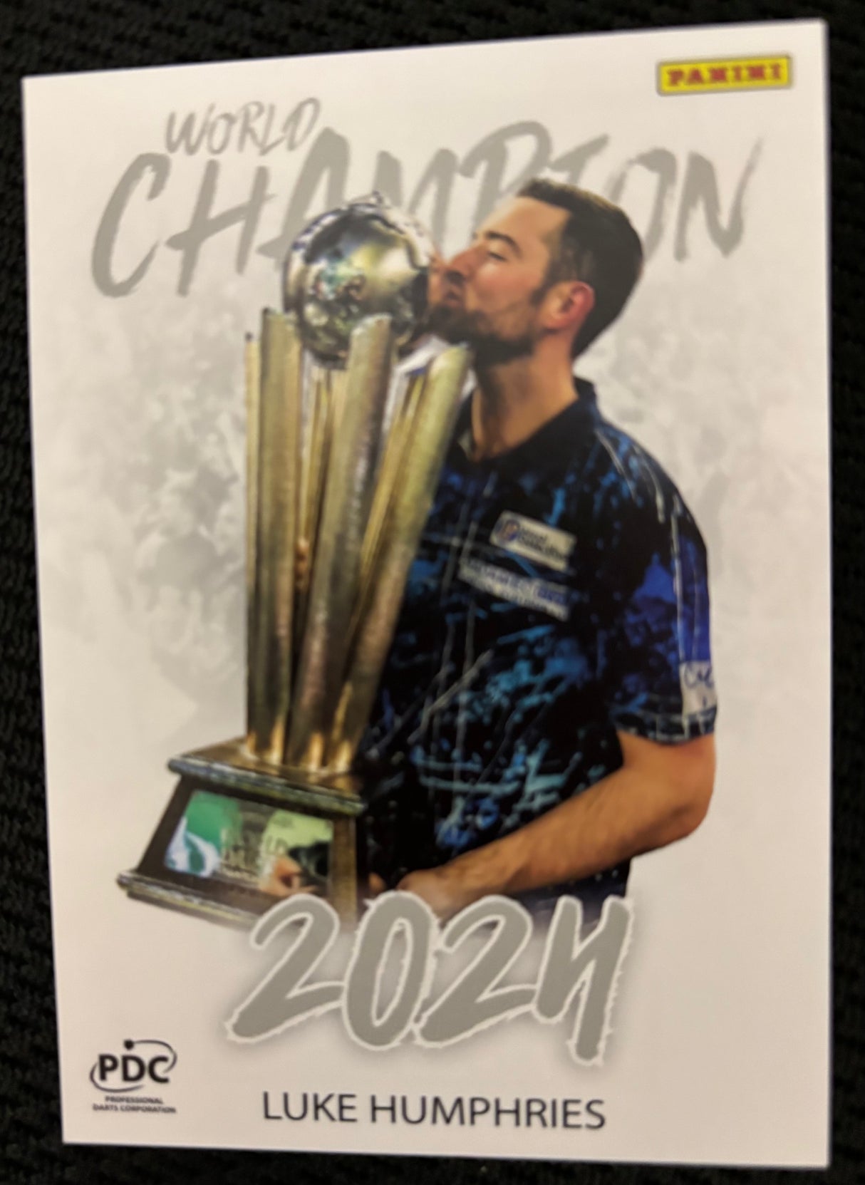 Panini PDC WM World Champions Base Cards