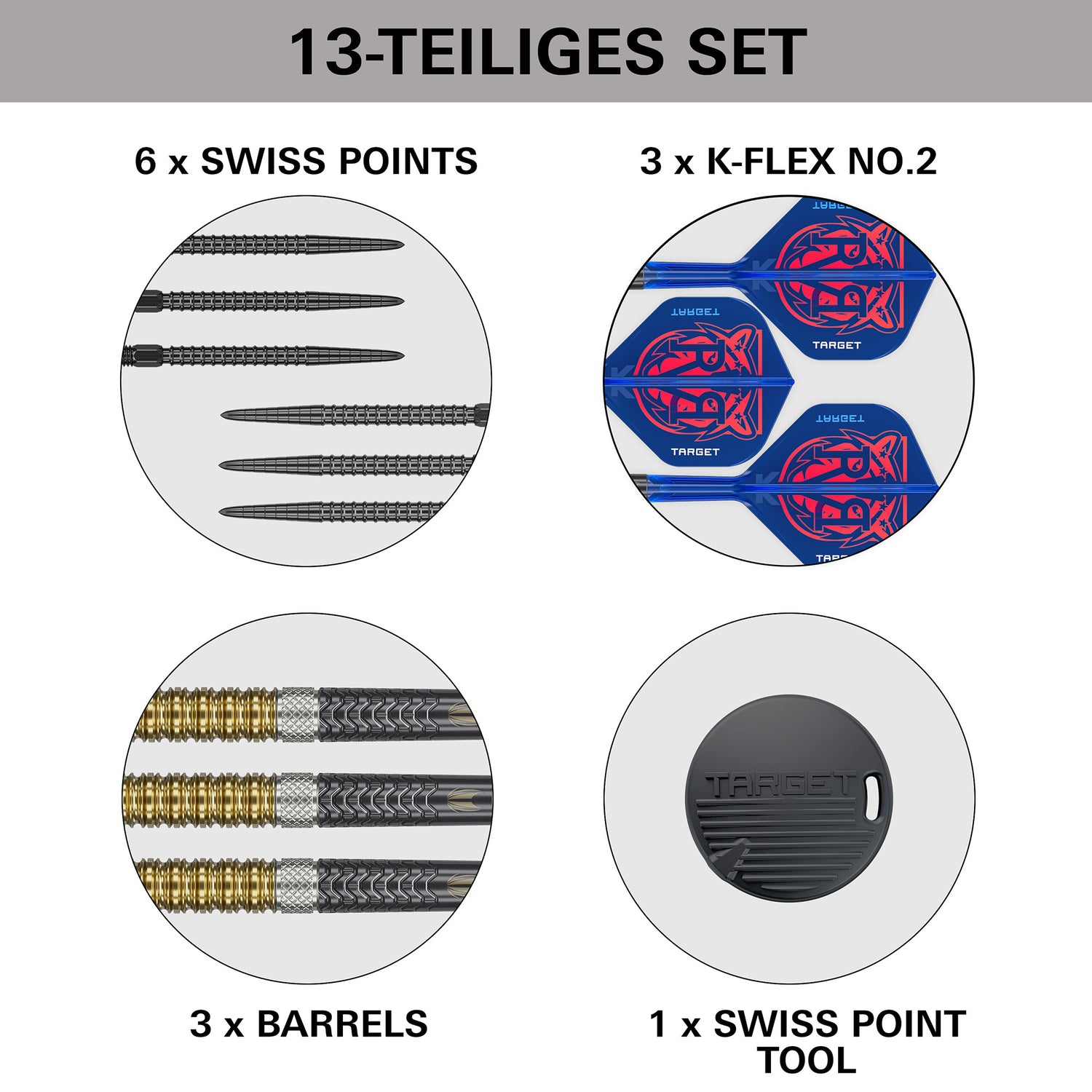Target Raymond van Barneveld G6 95% Swiss