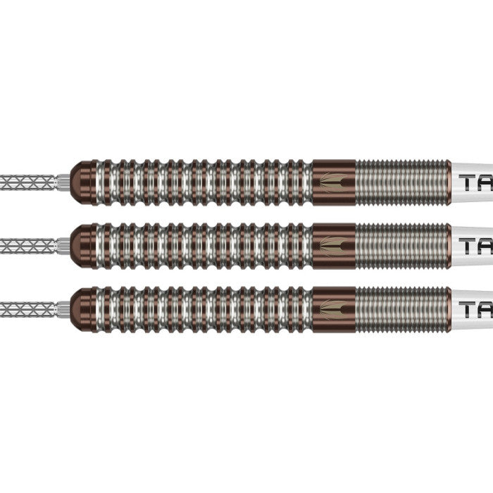Target Adam Lipscombe 25g 90% SP Steeltip