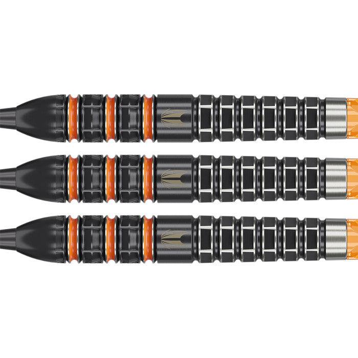 Target Raymond van Barneveld 95k Swiss Steeltip