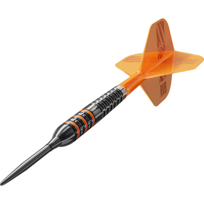 Target Raymond van Barneveld 95k Swiss Steeltip
