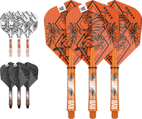 TARGET RAYMOND VAN BARNEVELD INK FLIGHT & SHAFT KIT