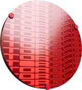 Target TOR EVO Dartboard