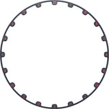 Target TOR EVO Dartboard