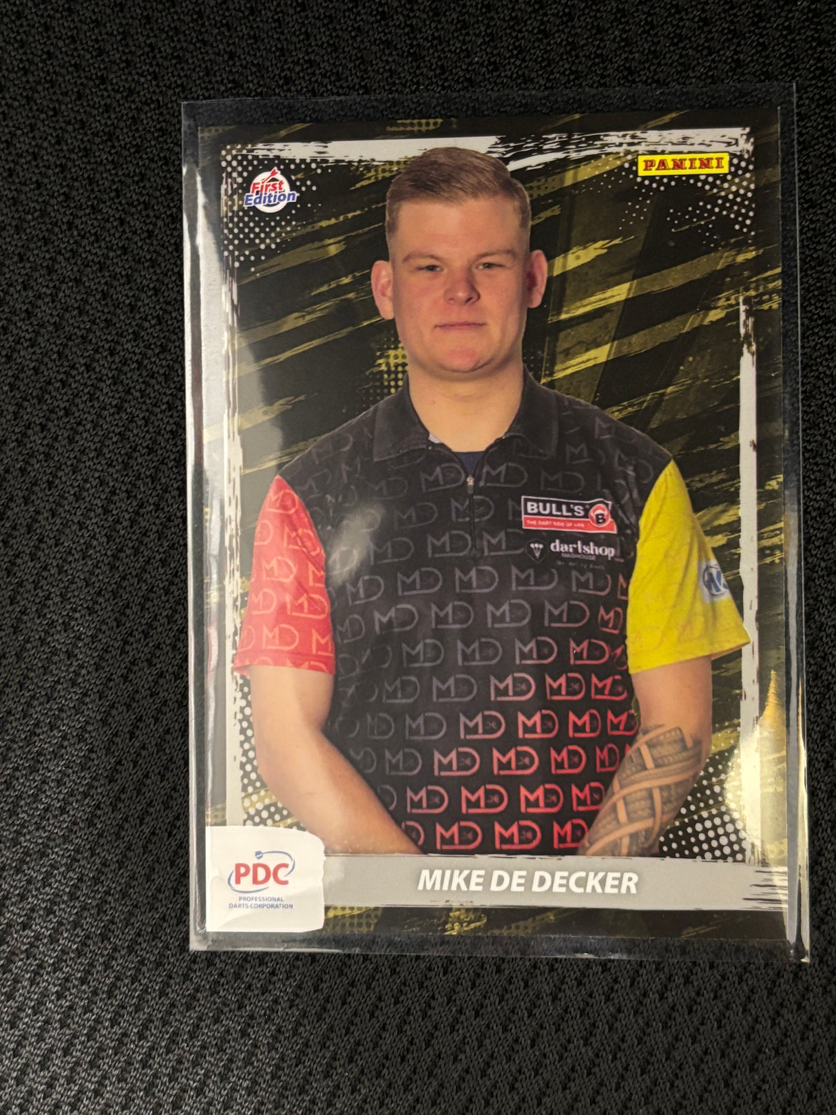 Panini PDC WM Base Cards