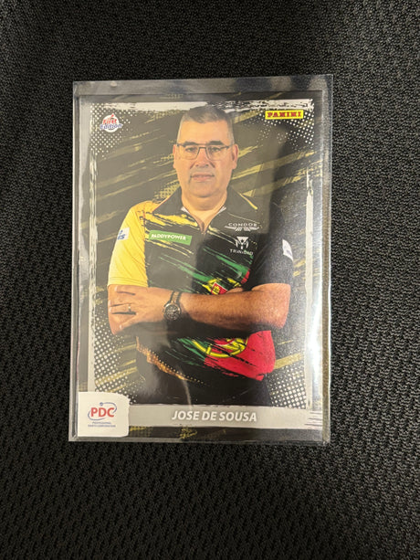 Panini PDC WM Base Cards