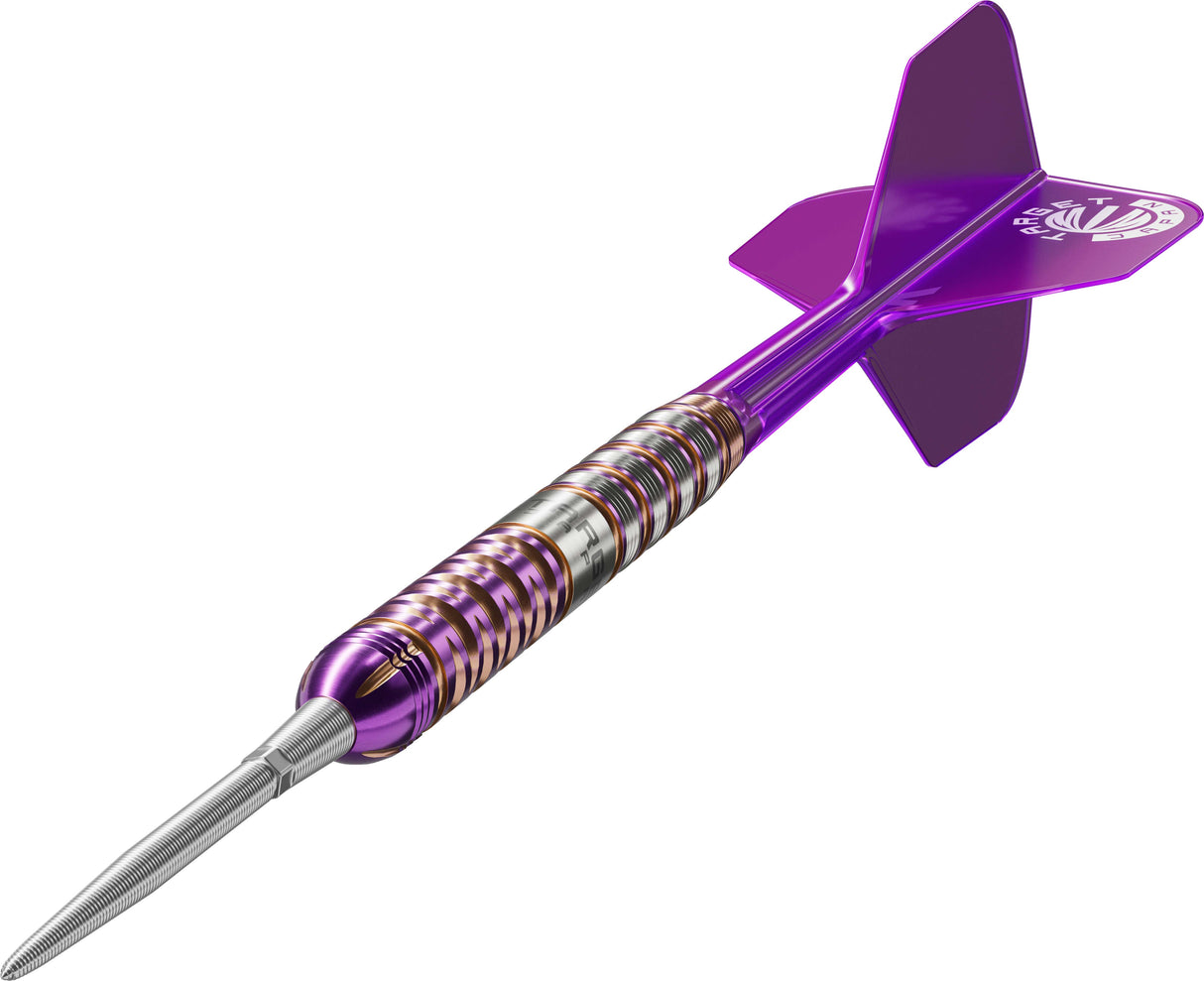 Target Japan Kasumi Sato Endeavour Gen2 90% SP Steel Tip 2025