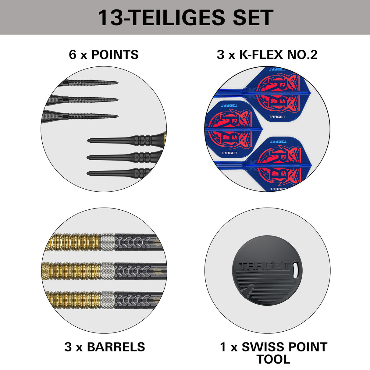 Target Raymond van Barneveld G6 95% Soft tip