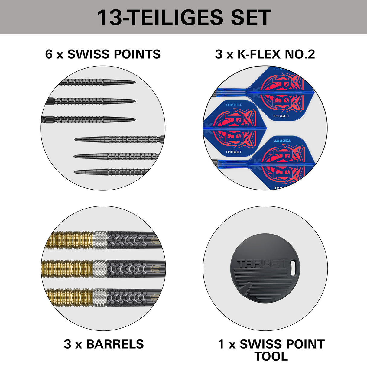Target Raymond van Barneveld G6 95% Swiss