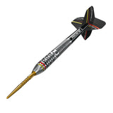 Precise180 Ricardo Pietreczko Steeldart