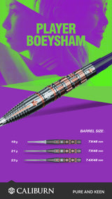 Caliburn Playerdarts BoeySham Steeltip