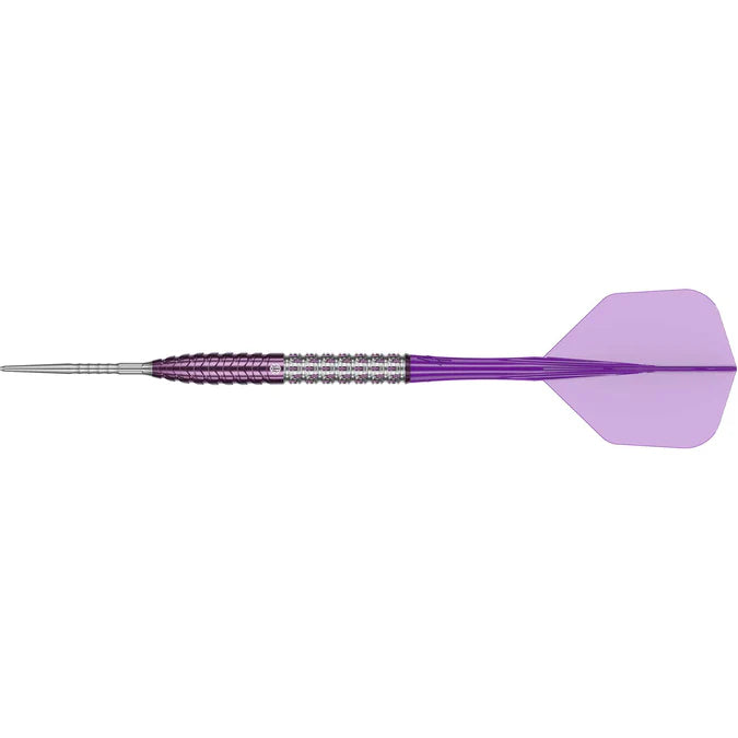 Caliburn Player Darts Awakening E.T. Steeldarts