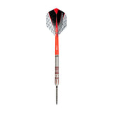 One80 Ricardo Fernandez (Rixi) 20g 90% Steeltip