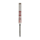 One80 Ricardo Fernandez (Rixi) 20g 90% Steeltip