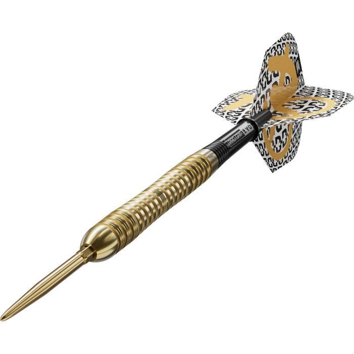 Target Bolide Envy 04 90% SP STEEL TIP DART 2026