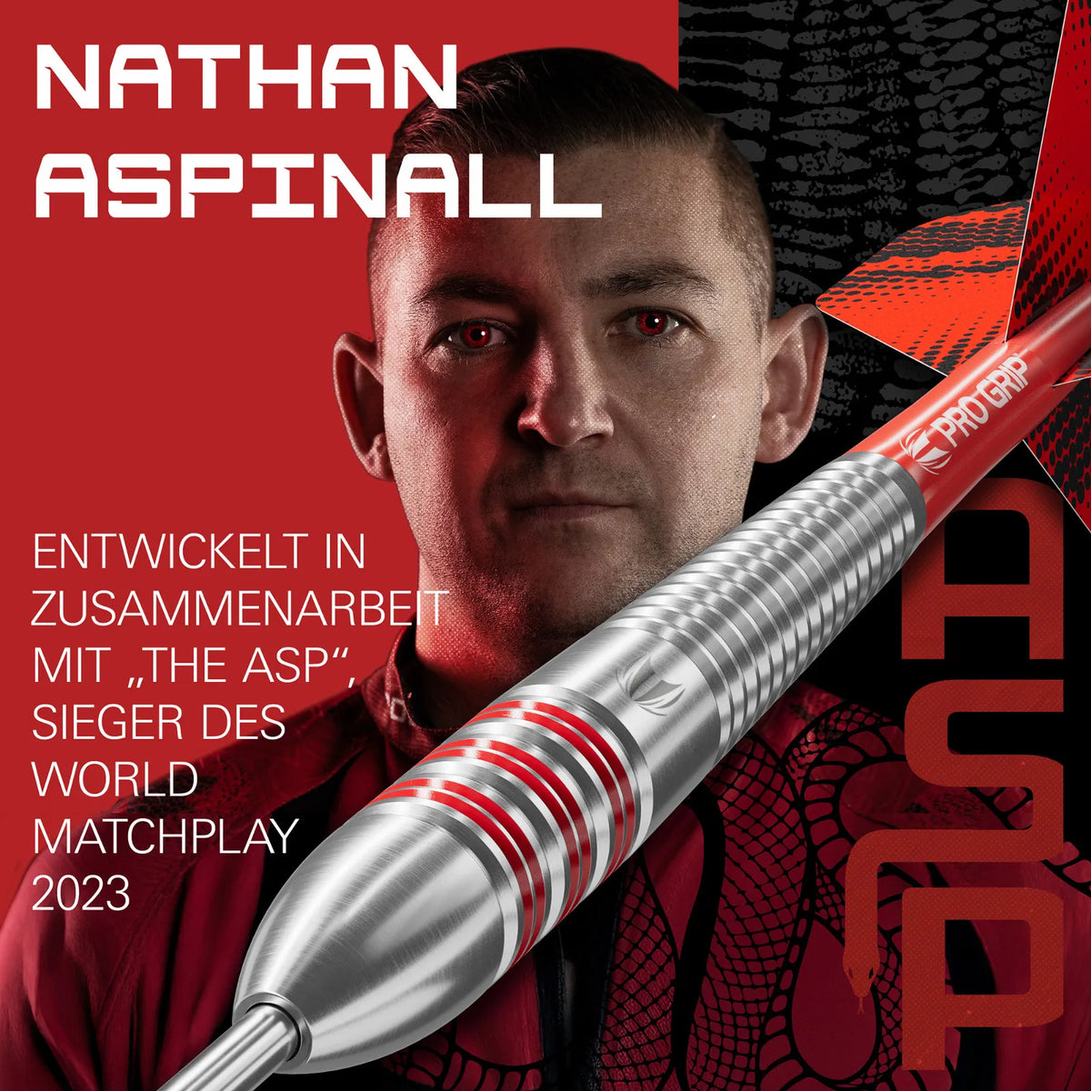 Target Nathan Aspinall Brass Darts 22g