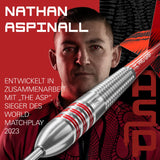 Target Nathan Aspinall Brass Darts 22g