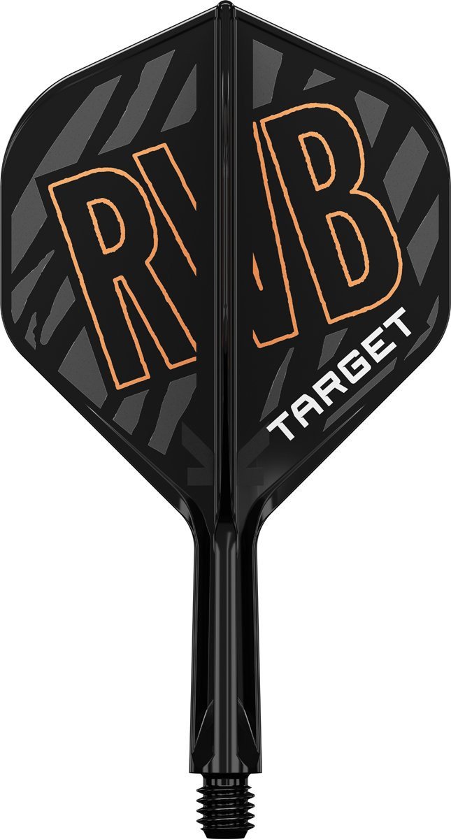 Target K-Flex Raymond van Barneveld No.2