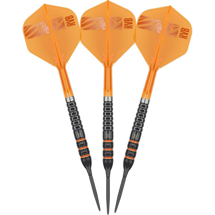Target Raymond van Barneveld 95k Swiss Steeltip